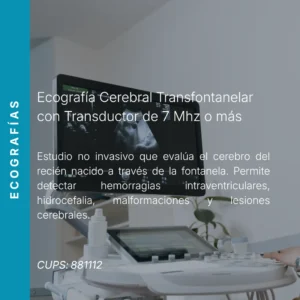 Ecografía cerebral transfontanelar con precio en línea, centro de imagen aliado de MEI.