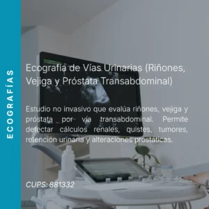 Ecografía de vías urinarias (riñones, vejiga y próstata transabdominal) con precio en línea, centro aliado de MEI.