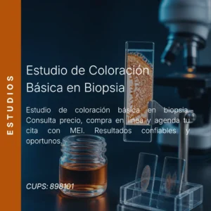 Estudio de coloración básica en biopsia con precio en línea, laboratorio aliado de MEI.