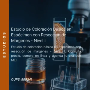 Estudio de coloración básica en espécimen con resección de márgenes - Nivel II con precio en línea, laboratorio aliado de MEI.