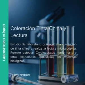 Coloración Tinta China - Precio MEI