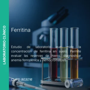 Ferritina - Precio MEI