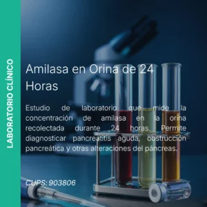 Amilasa en Orina 24 Horas - Precio MEI