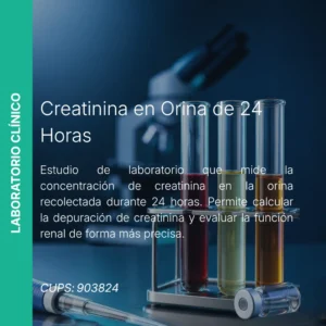 Creatinina en Orina de 24 Horas - Precio MEI