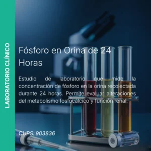 Fósforo en Orina 24 Horas - Precio MEI