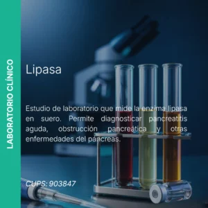 Lipasa - Precio MEI