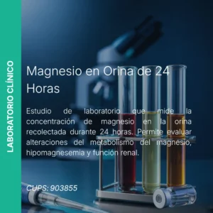 Magnesio en Orina 24 Horas - Precio