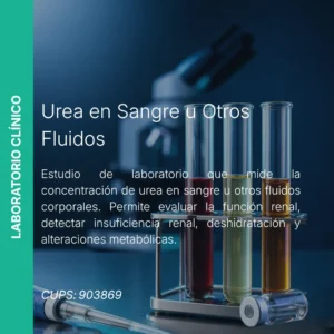 Urea en Sangre u Otros Fluidos - Precio