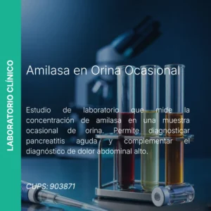 Amilasa en Orina Ocasional - Precio MEI