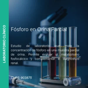 Fósforo en Orina Parcial - Precio MEI