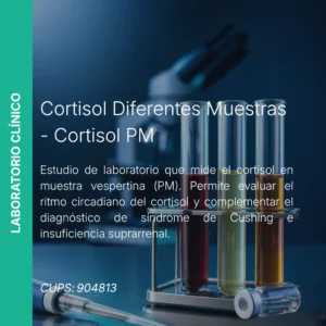 Cortisol PM - Precio MEI