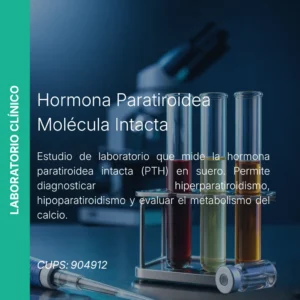 Parathormona Molécula Intacta PTH - Precio