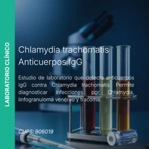 Chlamydia trachomatis IgG - Precio