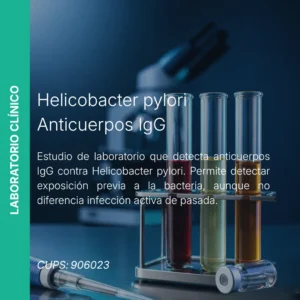 Helicobacter pylori IgG - Precio MEI