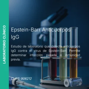 Epstein-Barr IgG - Precio MEI
