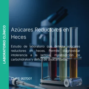 Azúcares Reductores en Heces - Precio